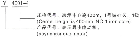 西安泰富西玛Y系列(H355-1000)高压YKS5005-10/400KW三相异步电机型号说明