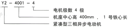 YR系列(H355-1000)高压YKS5005-10/400KW三相异步电机西安西玛电机型号说明